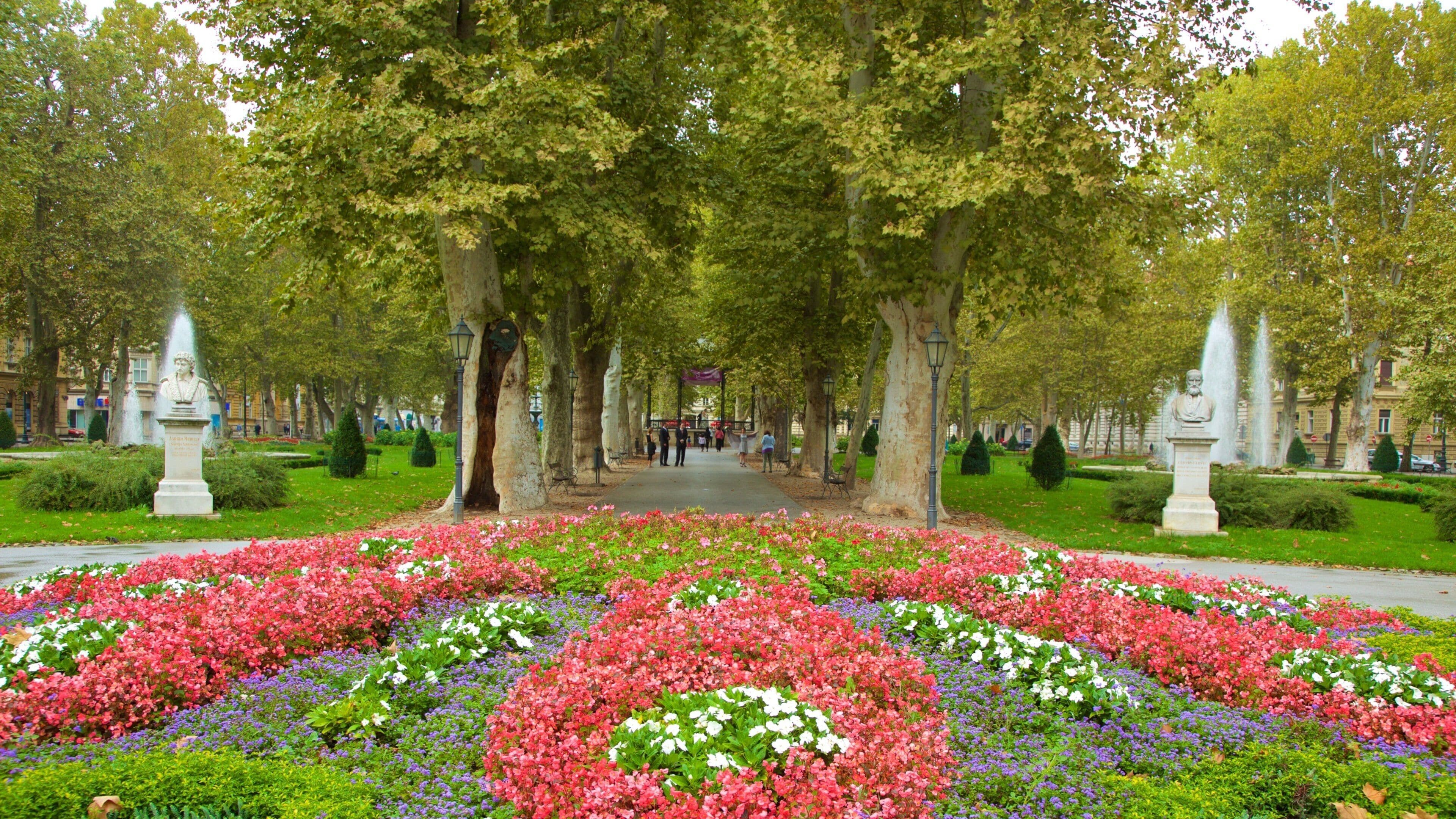 Zrinjevac showing a garden and flowers