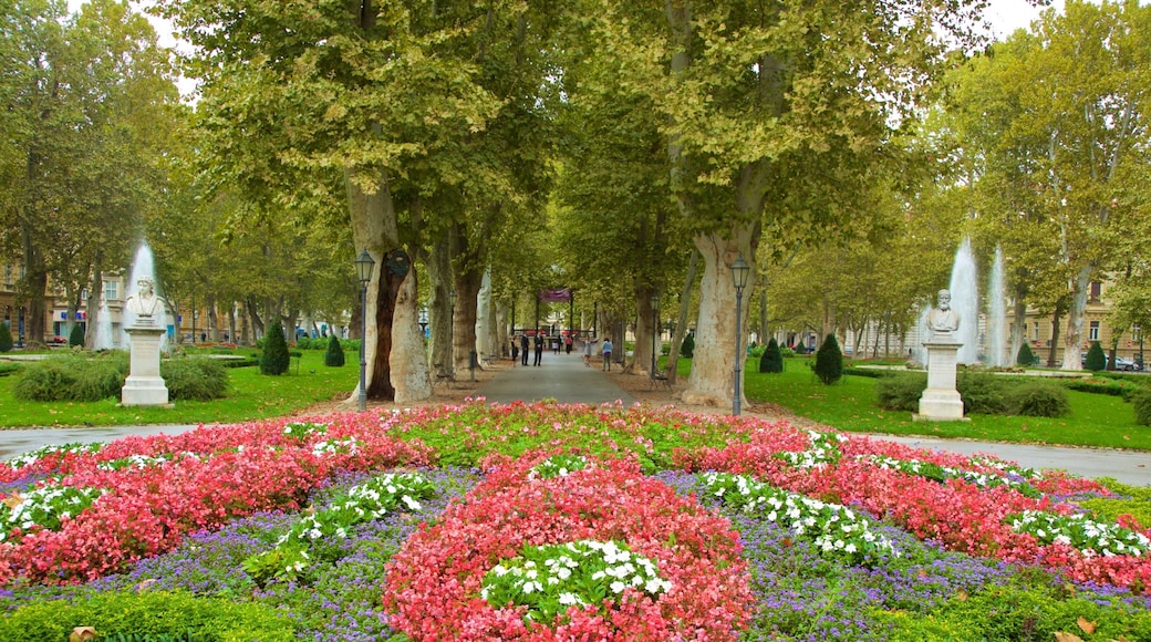 Zrinjevac showing a garden and flowers