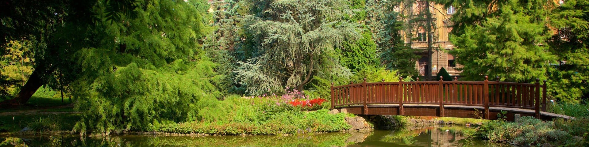 Botanical Garden which includes a garden and a pond