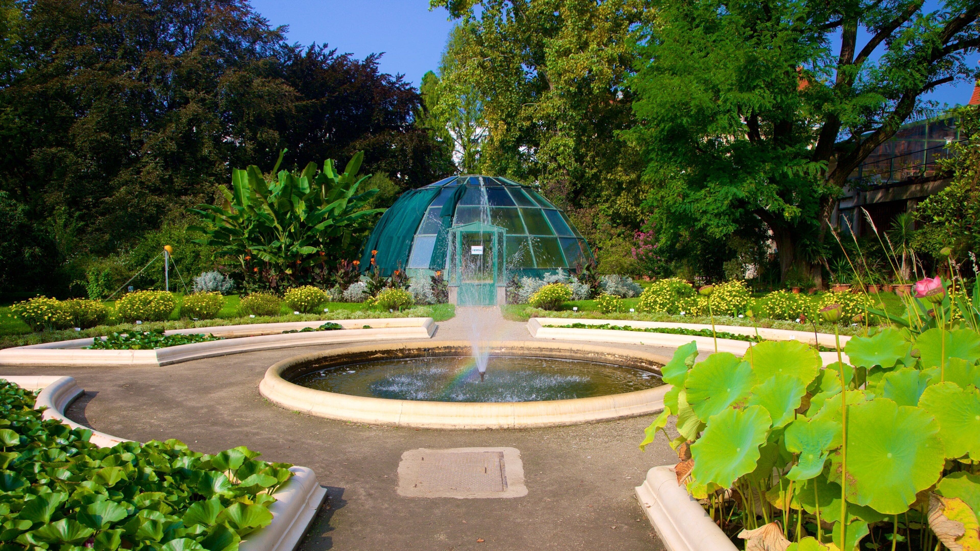 Botanical Garden Tours - Book Now | Expedia