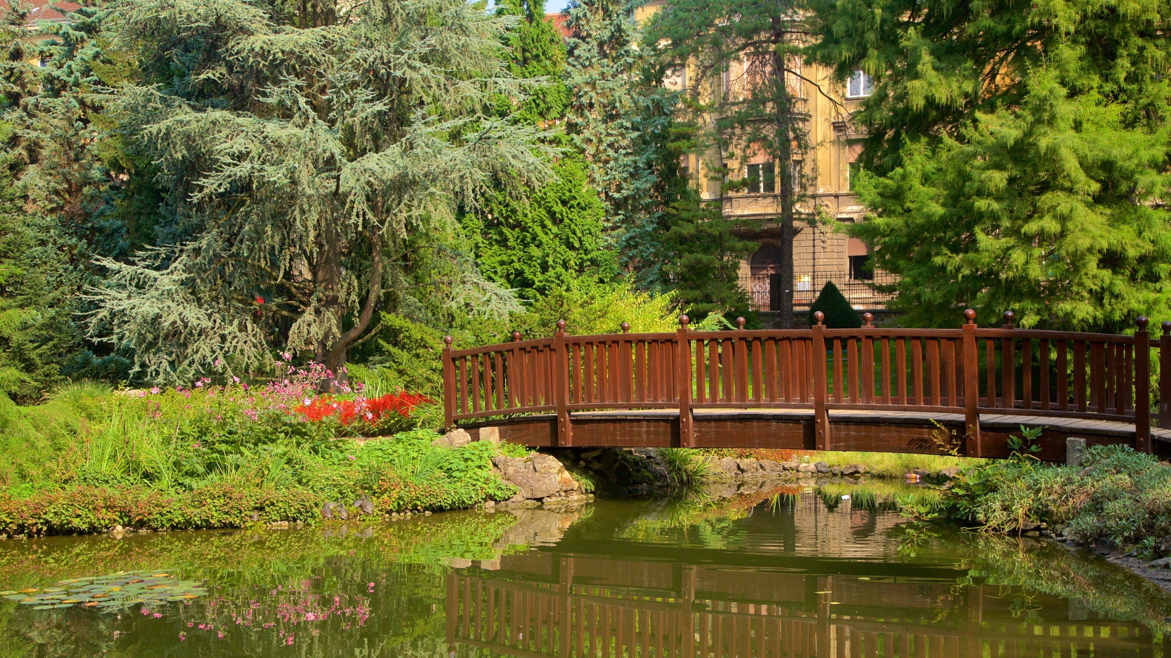 Botanical Garden which includes a park and a pond