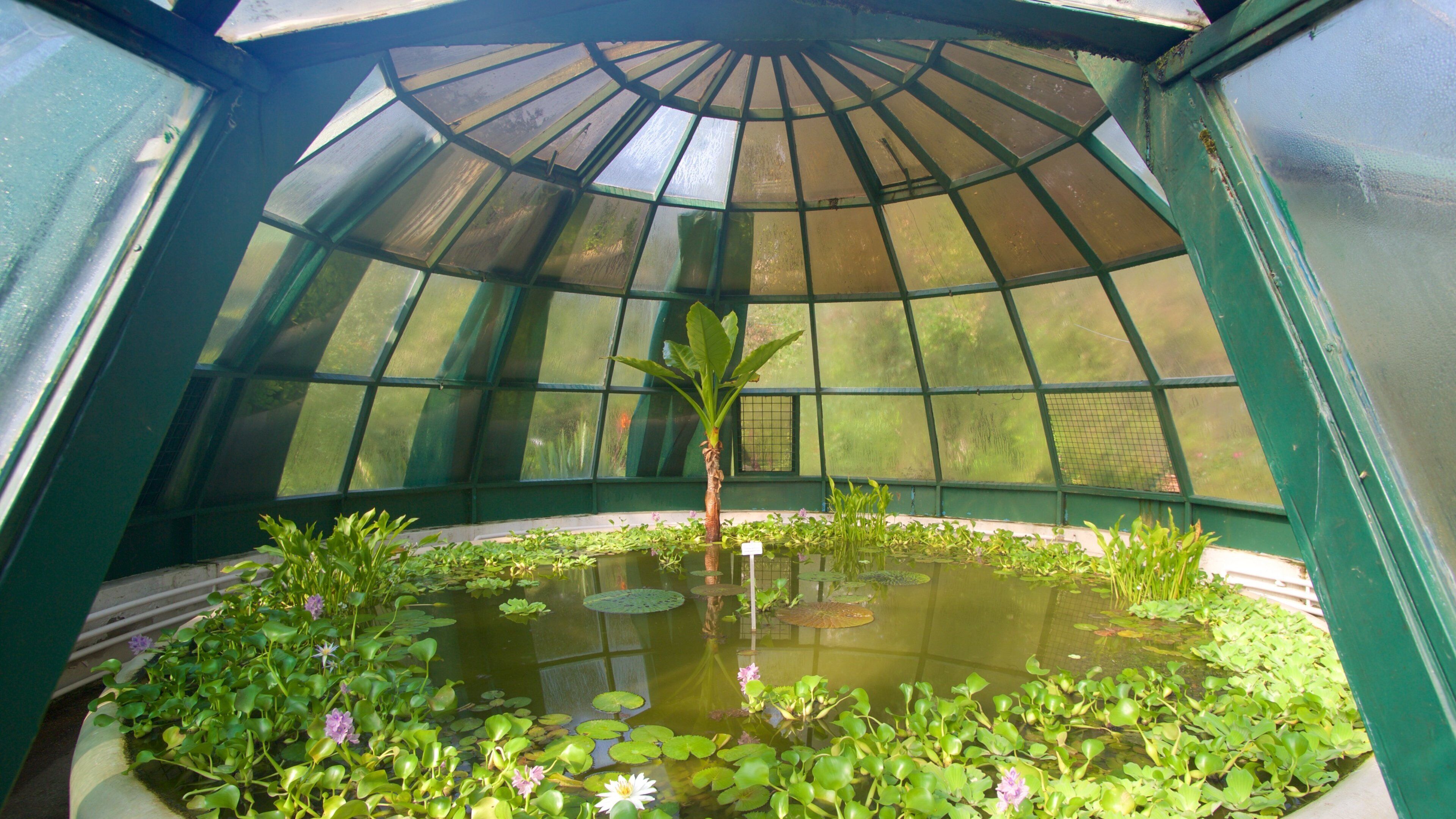 Botanical Garden som viser en dam og en park