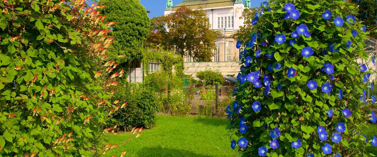 Botanischer Garten welches beinhaltet Garten