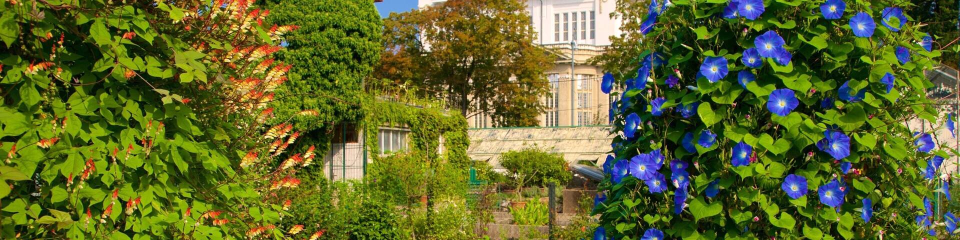 Botanical Garden featuring a park