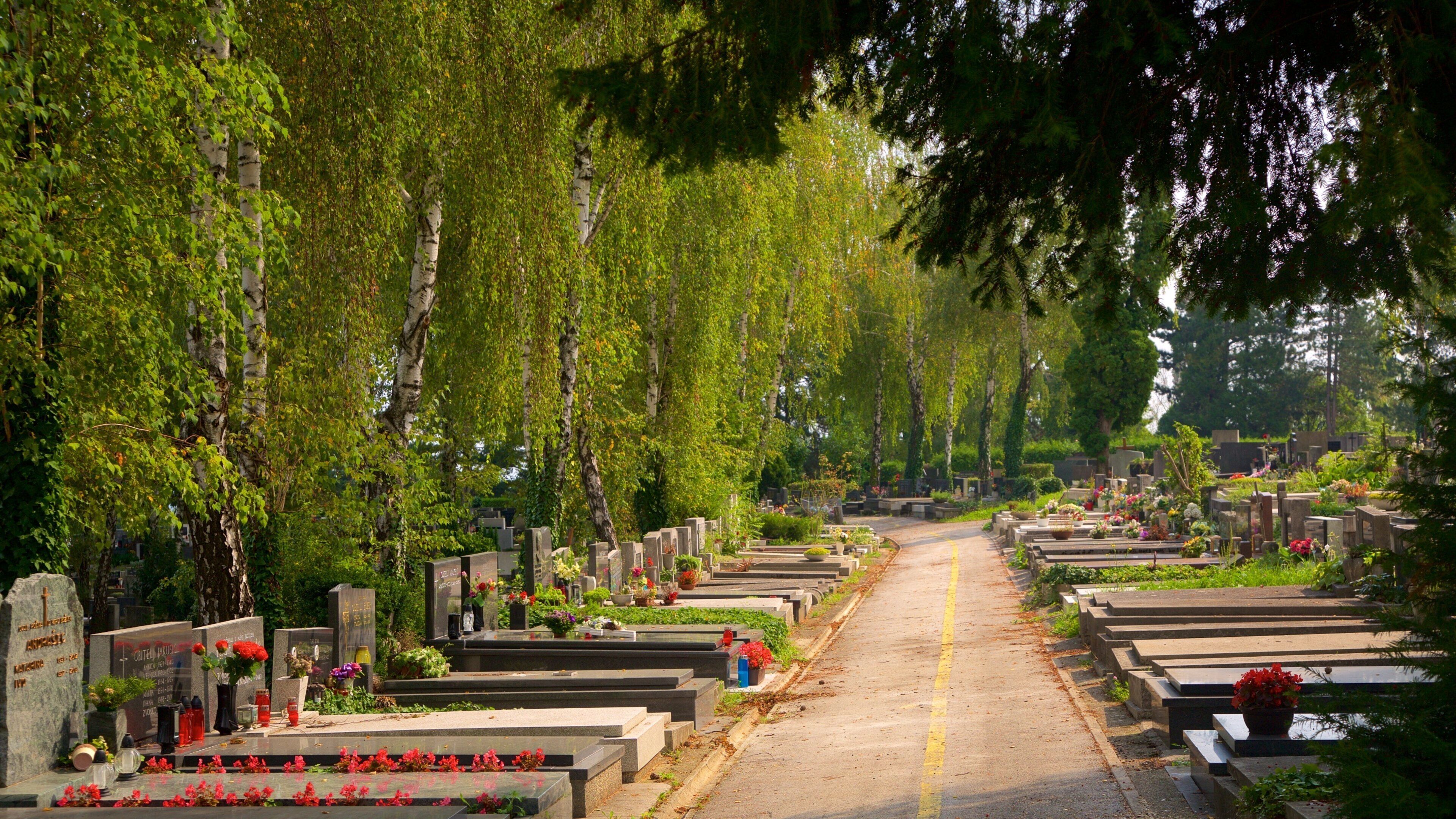 美樂高墳場 设有 墓地