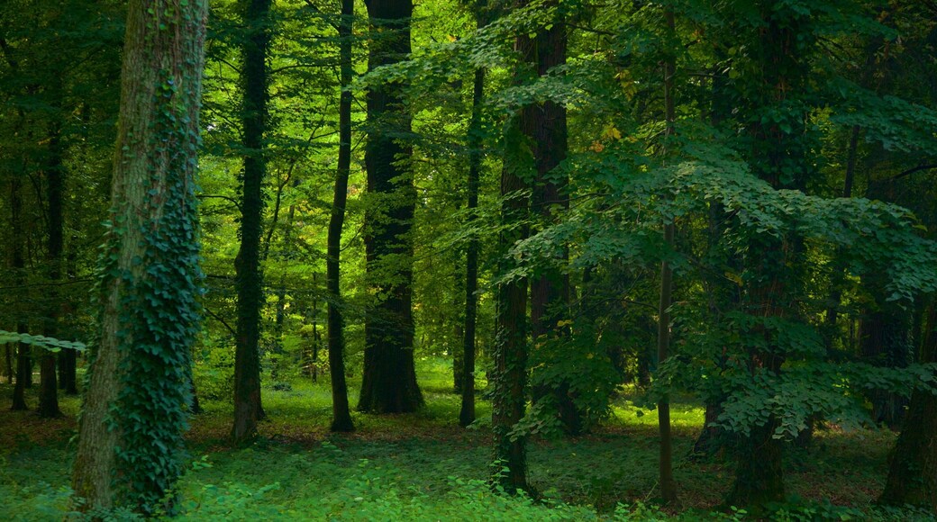 Parc Maksimir qui includes forĂȘts