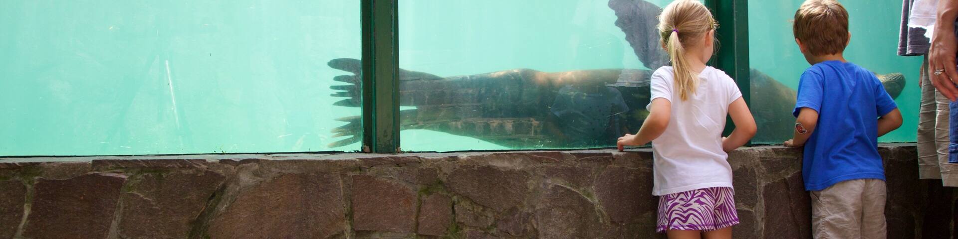 Zagrebs zoo presenterar havsdjur och zoodjur sÄvÀl som barn