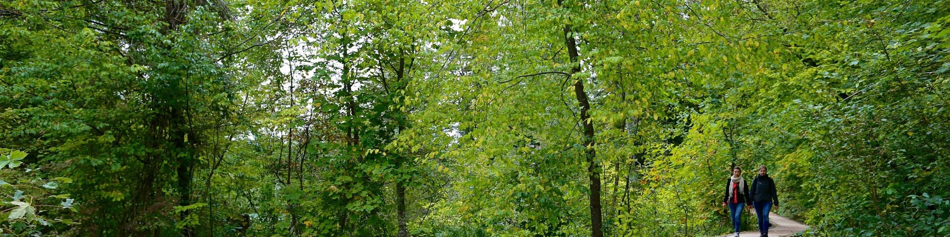 Plitvice Lakes National Park - Entrance 1 caracterizando floresta tropical e escalada ou caminhada