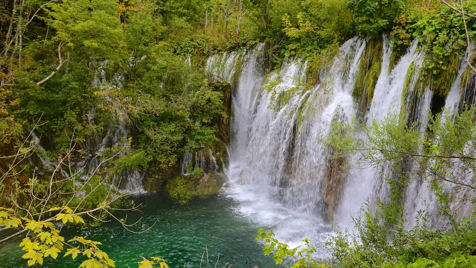 A waterfall cascading into a clear green pool surrounded by dense forest.
