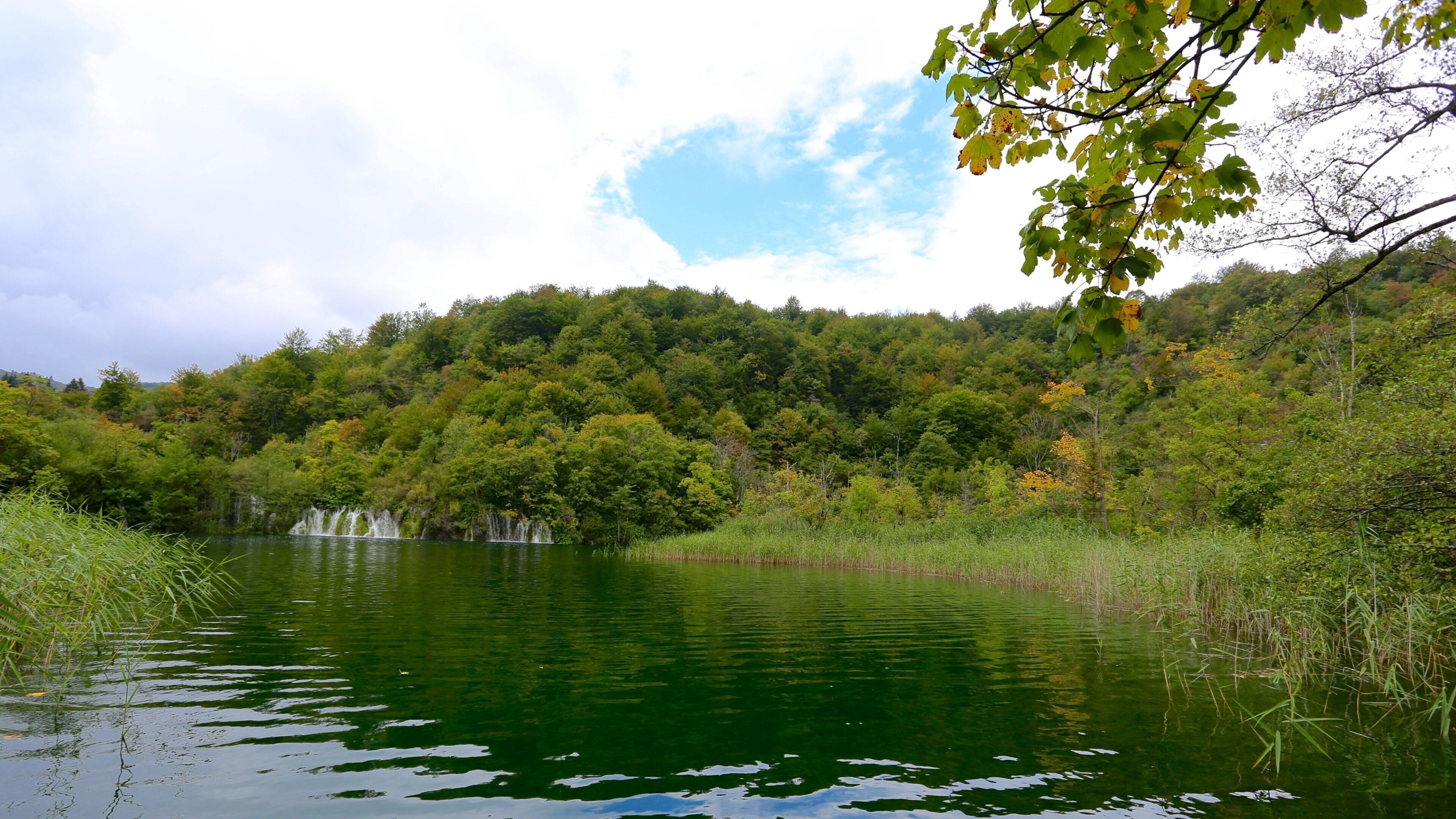 Un lago tranquilo rodeado de un bosque frondoso y una colina con cascadas.
