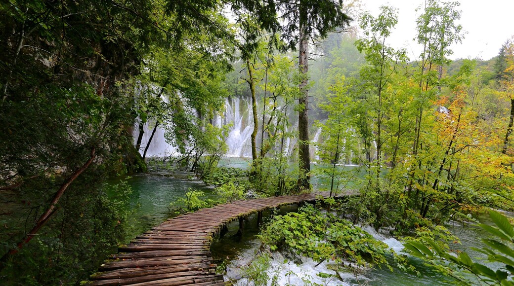 Plitvice Lakes National Park - Entrance 1 featuring a waterfall, rainforest and a lake or waterhole
