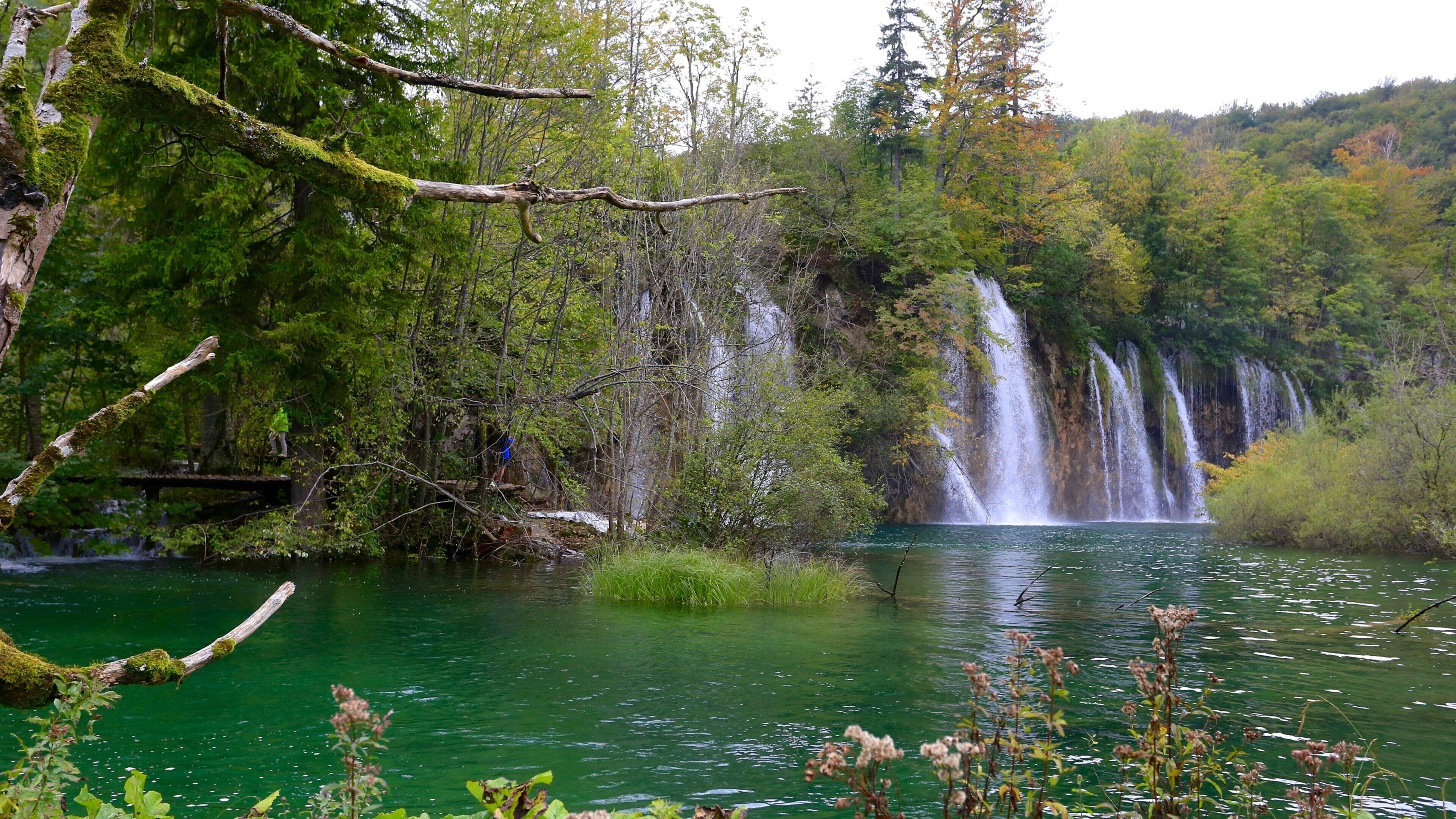 A forested area with a waterfall and a clear green lake.