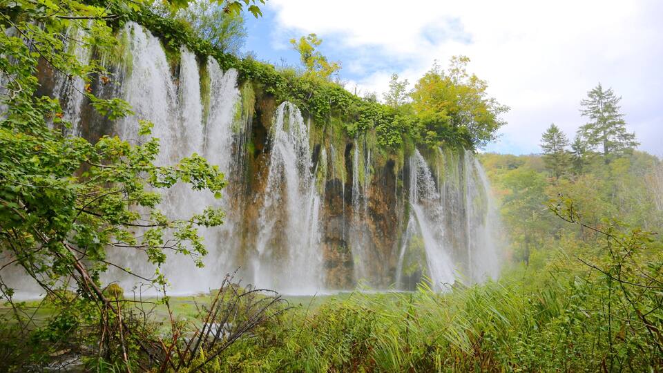 A waterfall cascading over a moss-covered cliff surrounded by lush greenery and trees.