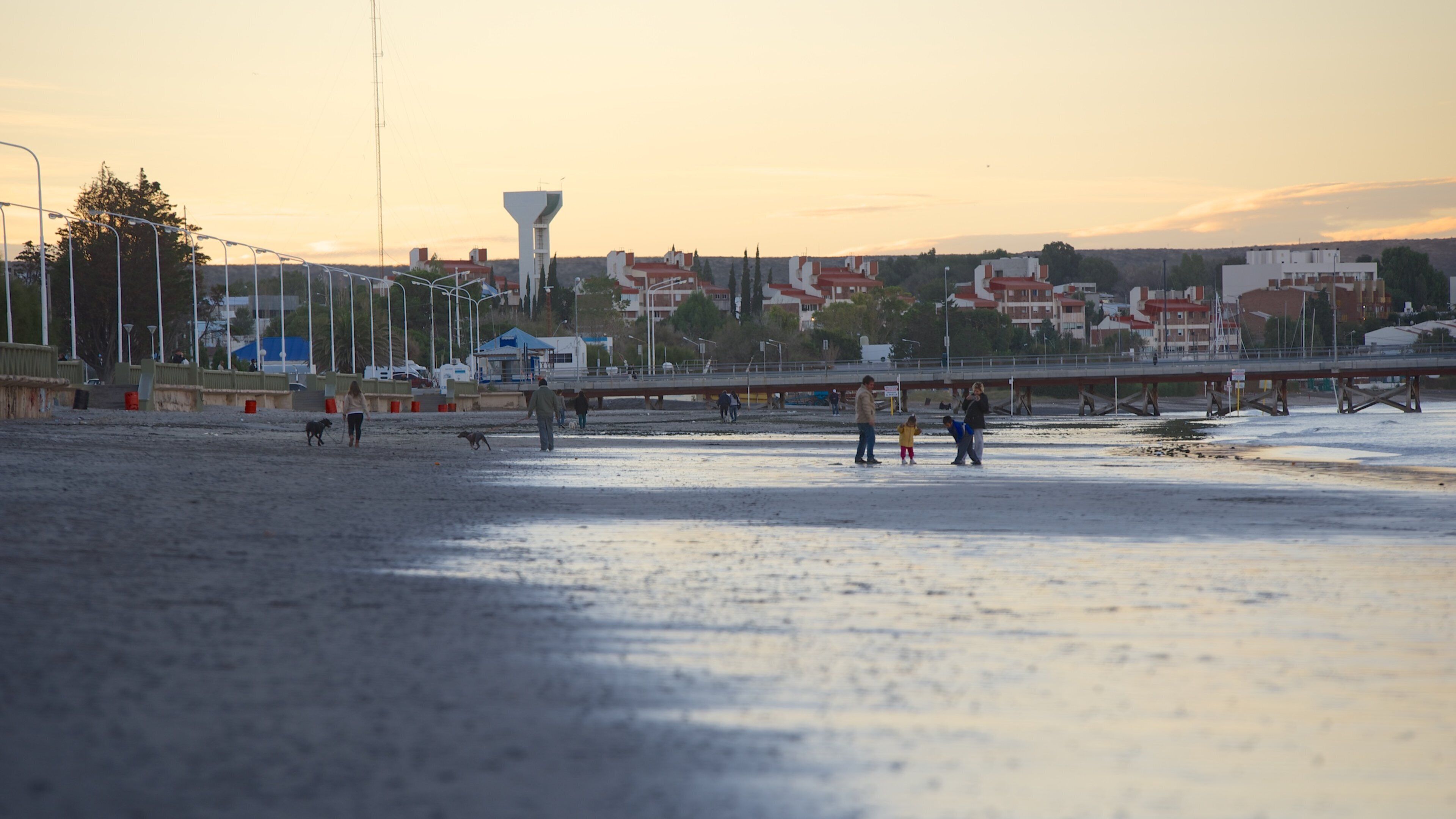 Puerto Madryn Beach showing a sunset and a sandy beach