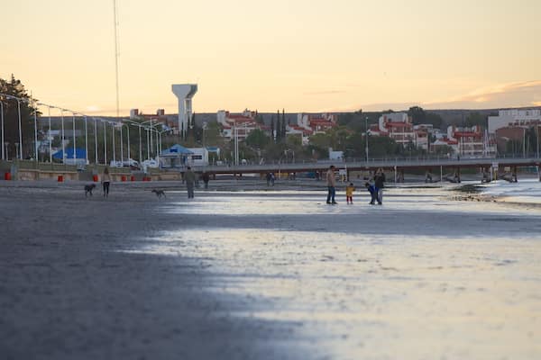 A beach with people and dogs, a bridge, and buildings in the background.