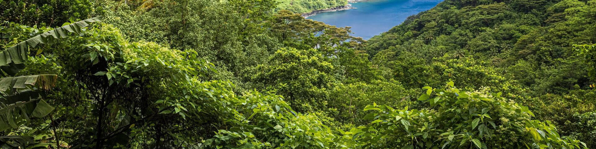 Beautiful landscape view of the National Park of American Samoa on the island of Tutuila.