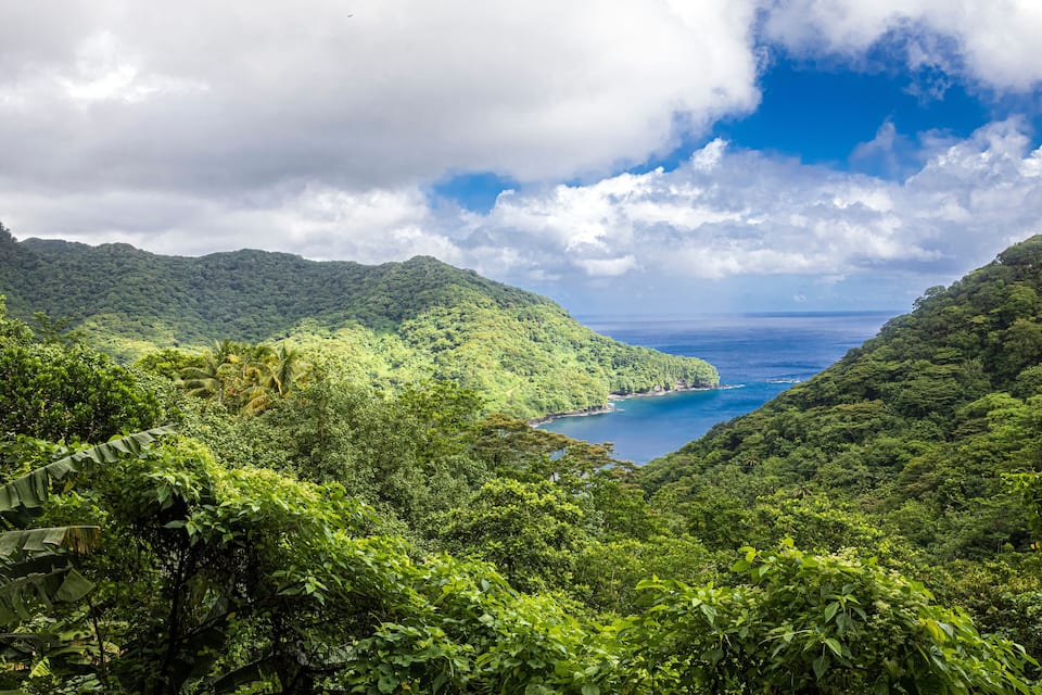A lush green valley with dense foliage and a clear blue sea in the background.