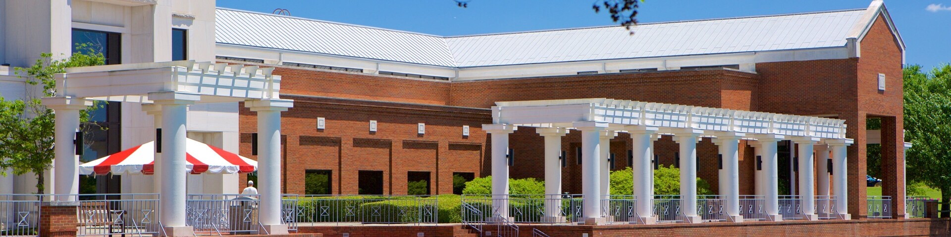 Montgomery Museum of Fine Arts featuring a pond