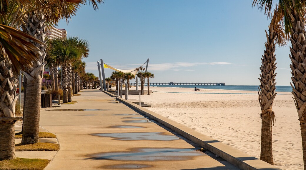 Gulf Shores Beach featuring a sandy beach and general coastal views