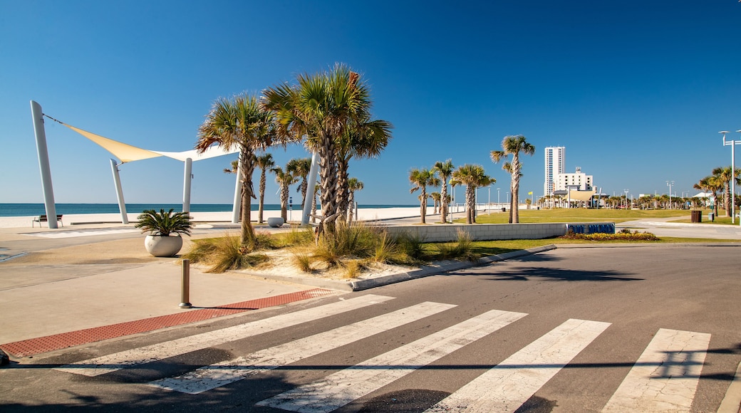 Gulf Shores Beach which includes general coastal views