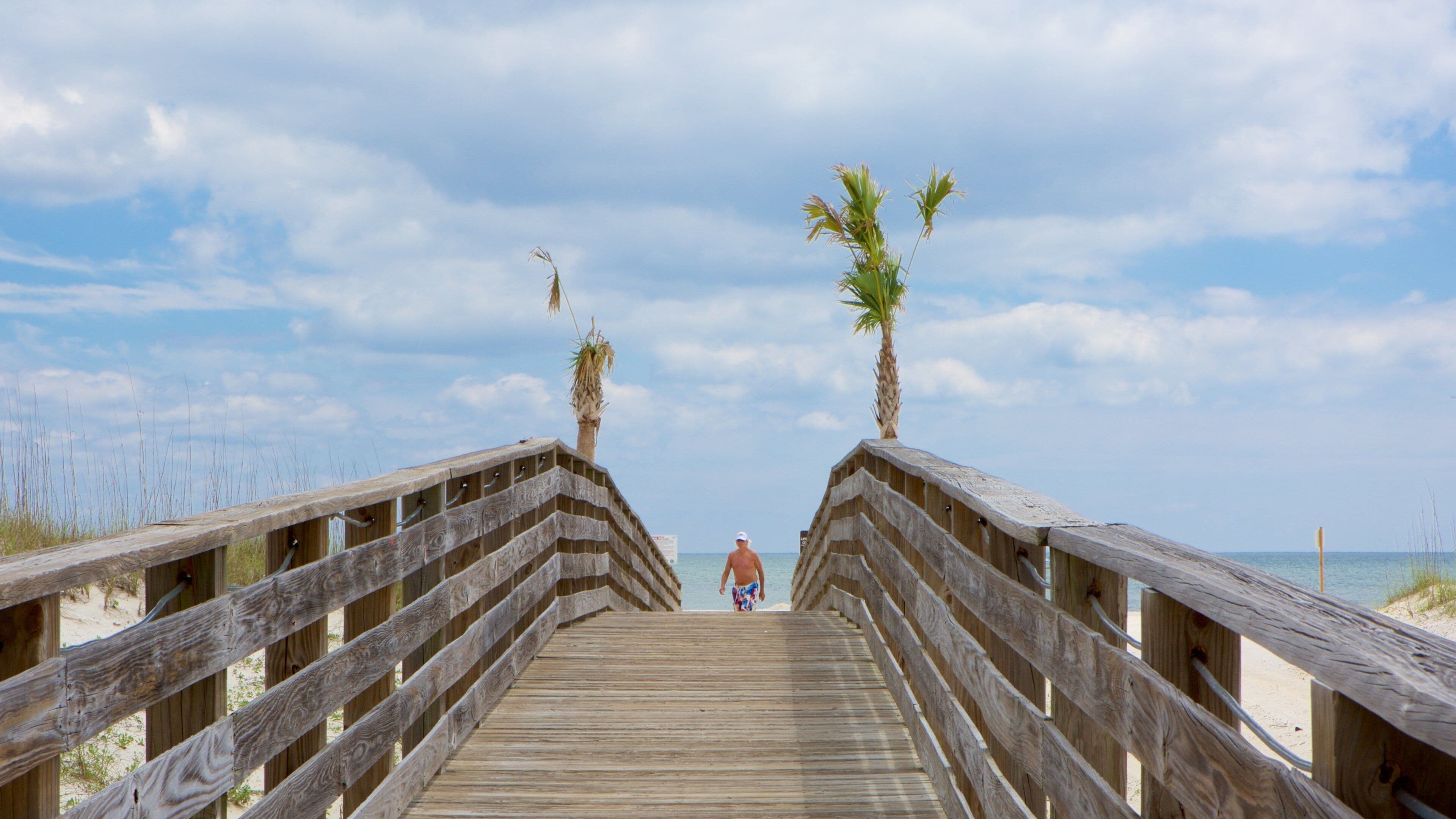 Gulf State Park which includes general coastal views and a beach