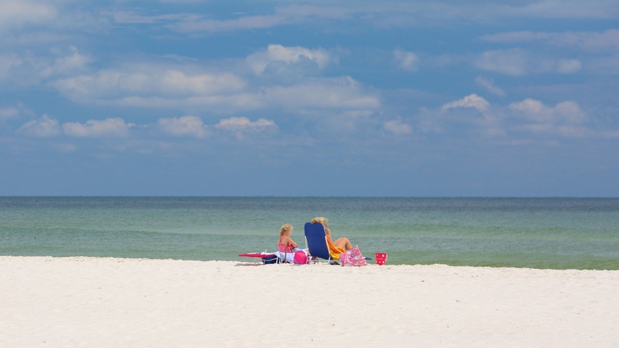 Gulf State Park which includes general coastal views and a sandy beach as well as a family
