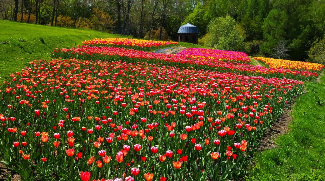 Jasmine Hill Gardens