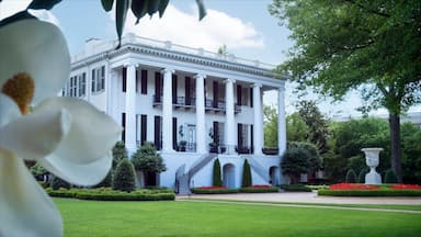 University of Alabama featuring heritage architecture