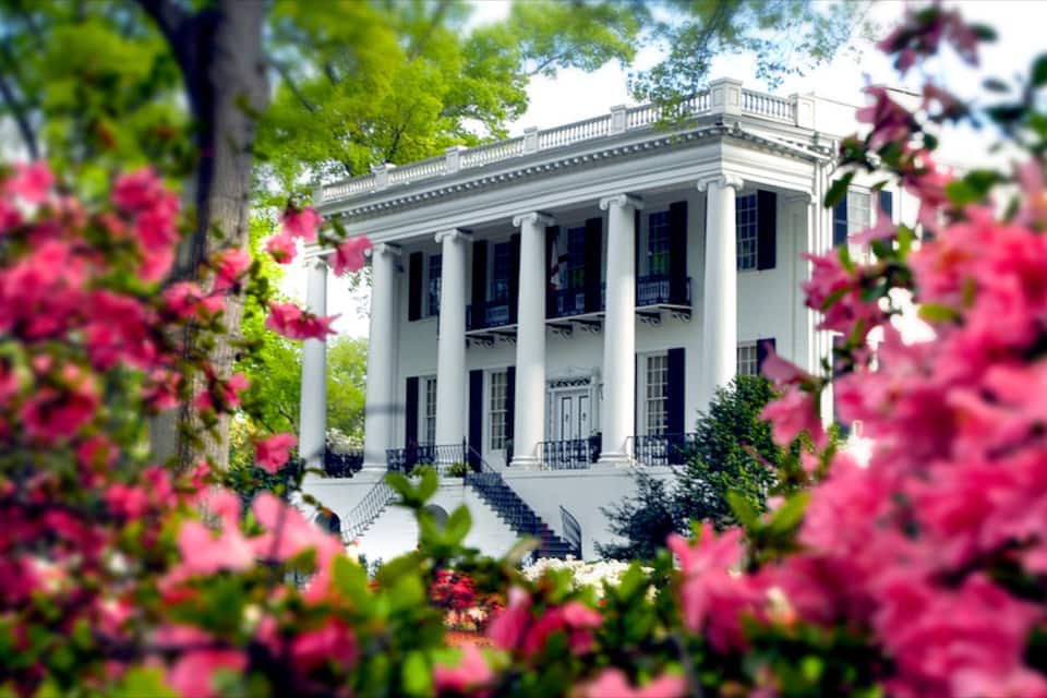 A white building with columns and a balcony, surrounded by pink flowers.