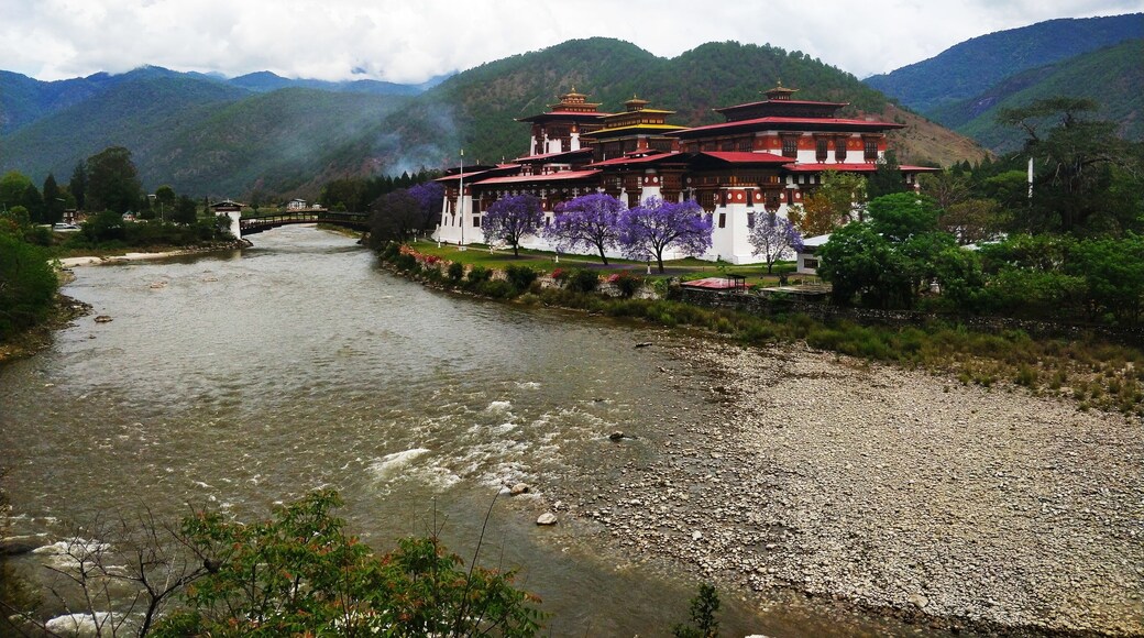 Punakha Dzong, you beauty!!
Built in 1637, alongside the river called Mo Chhu, this incredibly gorgeous fortress is also the Winter palace of Bhutan!
#punakhadzong #bhutan101 #travels2018