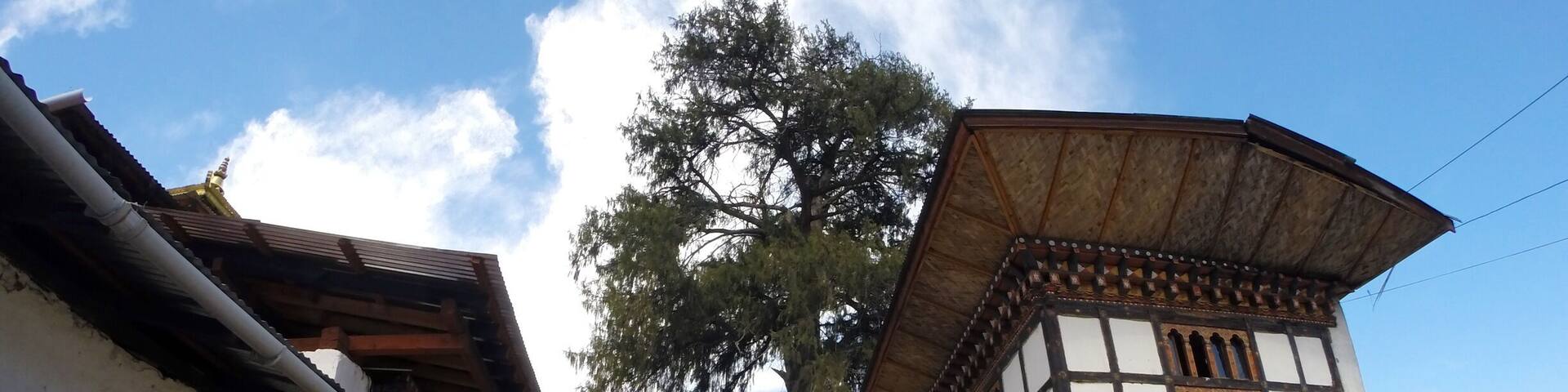 Kyichu Lhakhang, is an important Himalayan Buddhist temple situated in Lamgong Gewog of Paro District in Bhutan.
