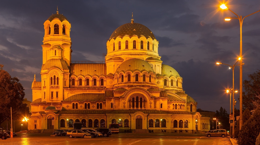 Alexander Nevski Cathedral which includes a church or cathedral, heritage architecture and night scenes