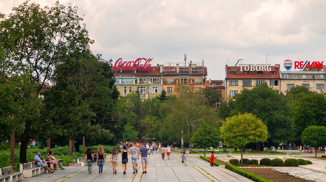National Palace of Culture featuring street scenes, a park and signage
