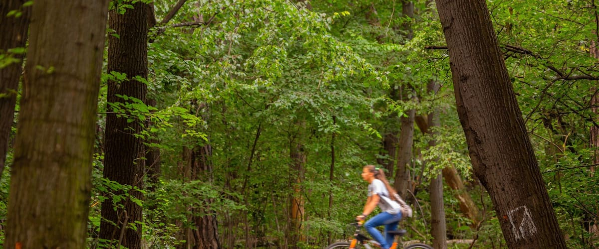 Borisova Gradina showing cycling, a garden and forests