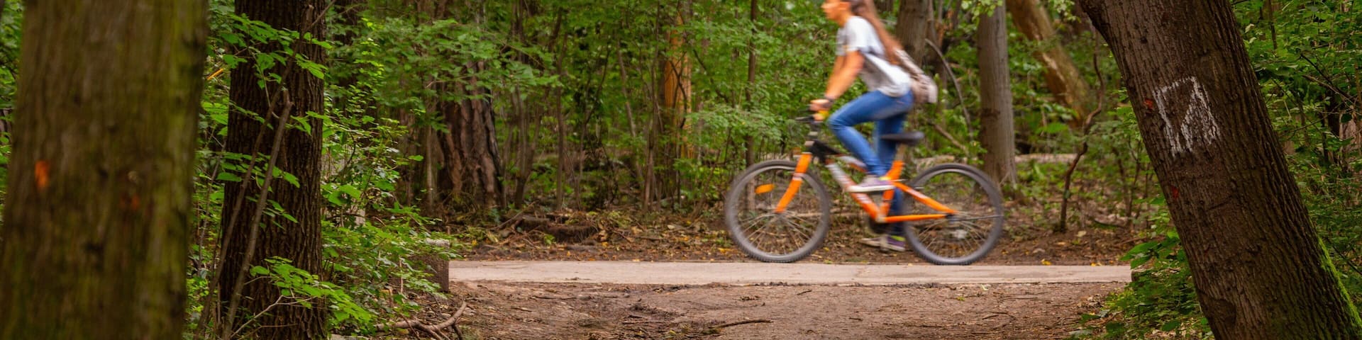 Borisova Gradina showing cycling, a garden and forests