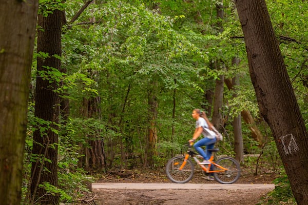 Borisova Gradina showing cycling, a garden and forests