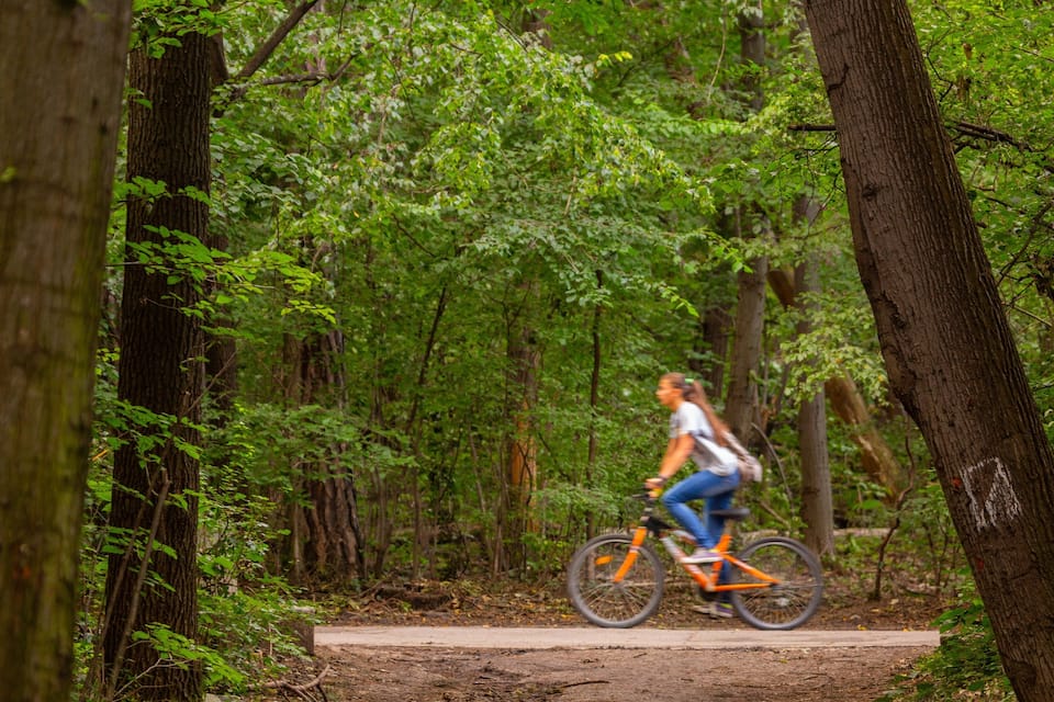 A person riding a bicycle on a dirt path in a forested area.