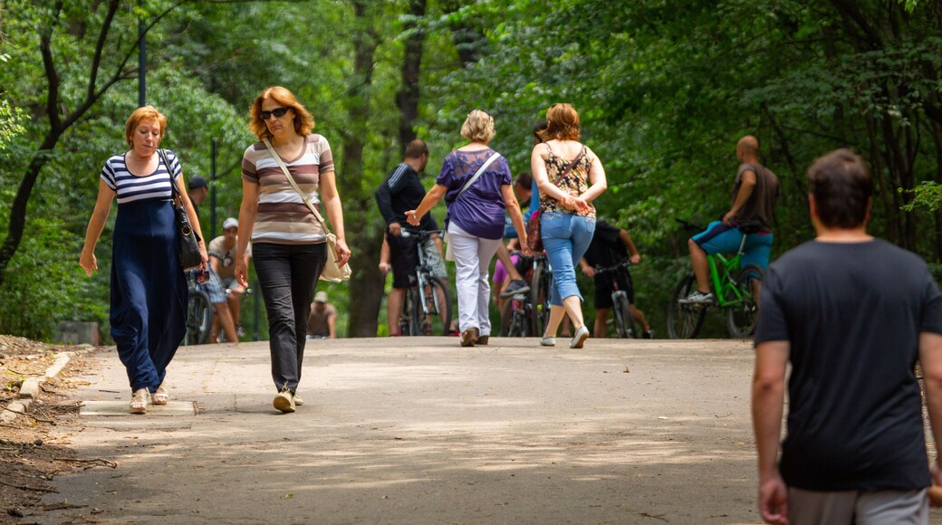 Borisova Gradina which includes a park and street scenes