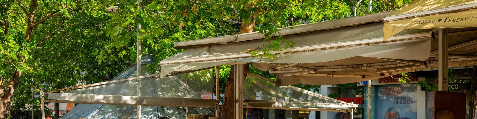 Slaveykov Square showing markets as well as an individual male