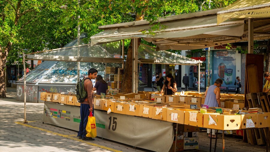 Slaveykov Square showing markets as well as an individual male