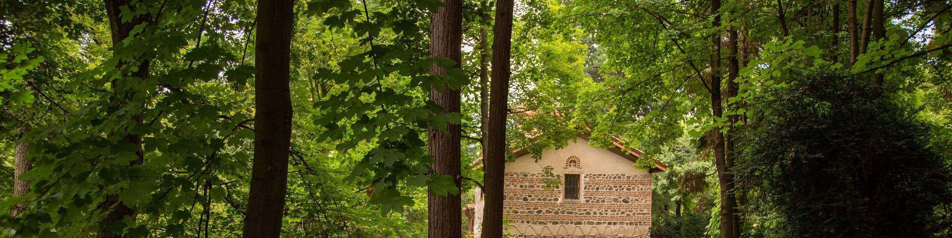 Boyana Church featuring a garden