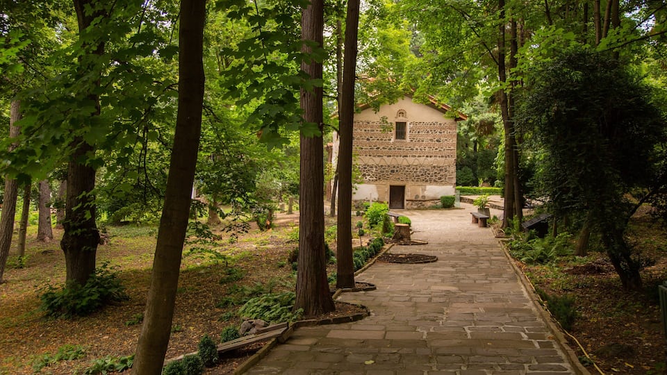 Boyana Church featuring a garden