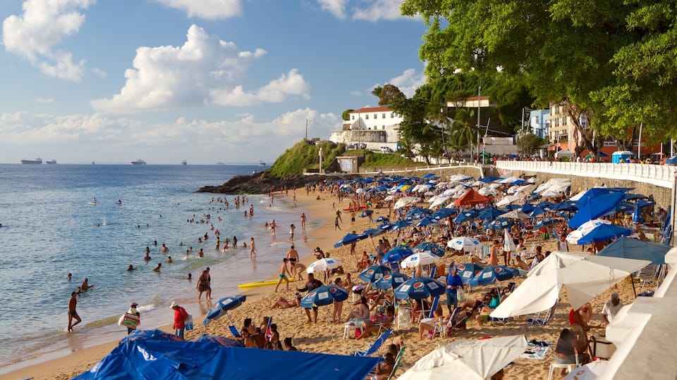 Porto da Barra Beach featuring a beach, general coastal views and swimming