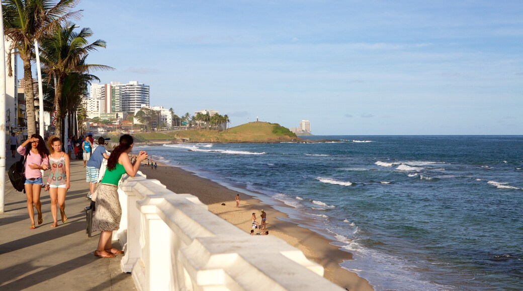 Bãi biển Farol da Barra có tính năng thị trấn duyên hải và cảnh bờ biển cũng như nhóm nhỏ