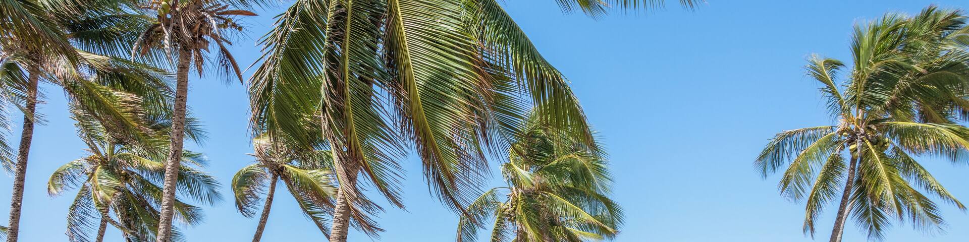 Salvador_OndinaBeach_6097998_02