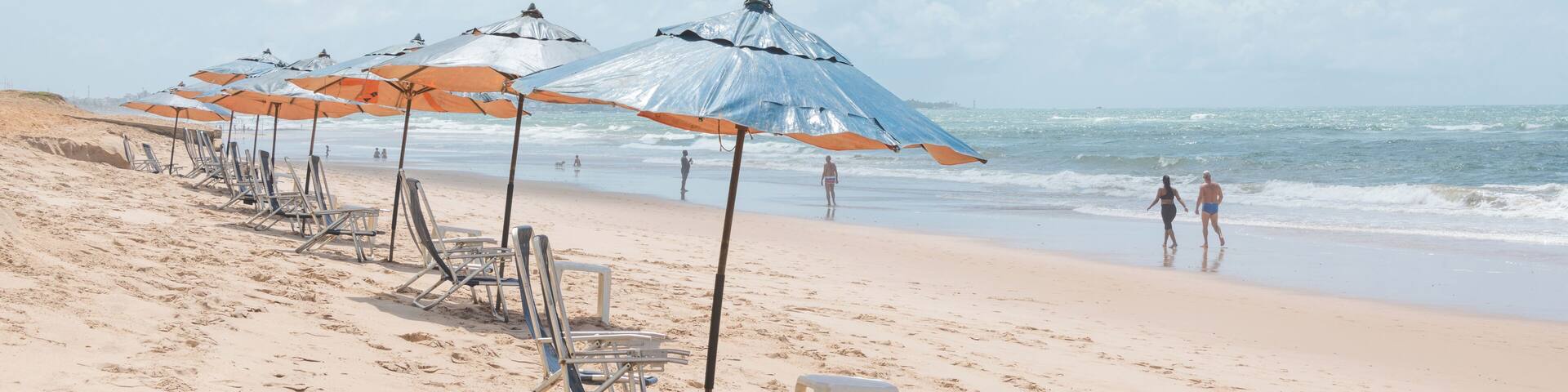 Una playa con hileras de sombrillas y sillas de descanso.