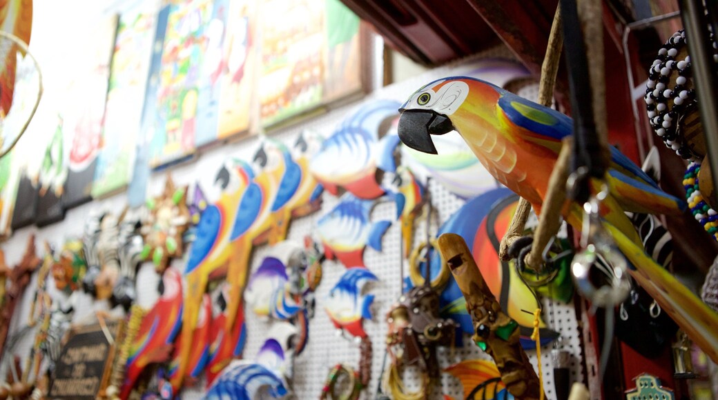 Mercado Modelo mostrando vistas interiores y compras