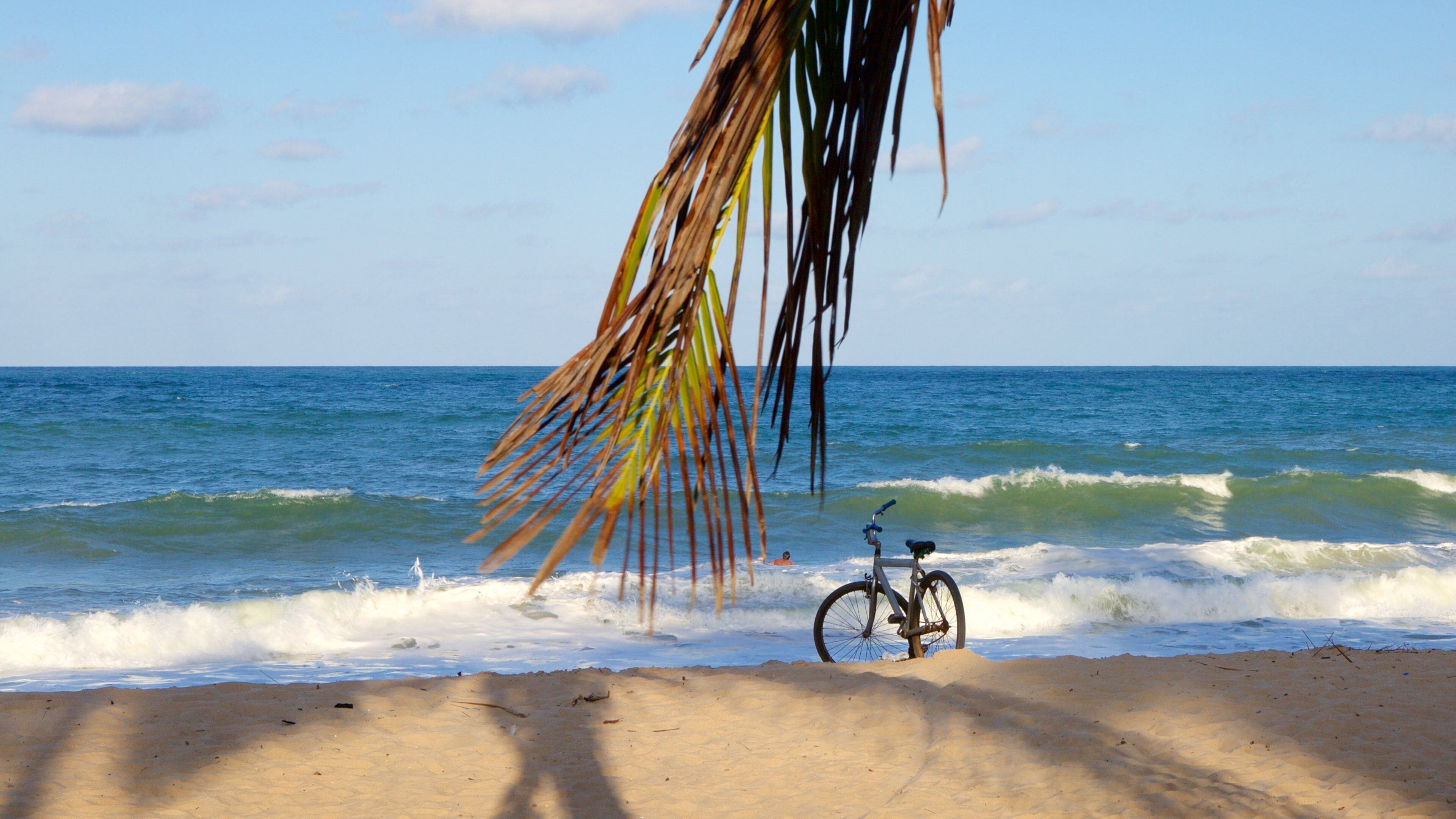 Plage de Maracaipe mettant en vedette plage, surf et vues littorales