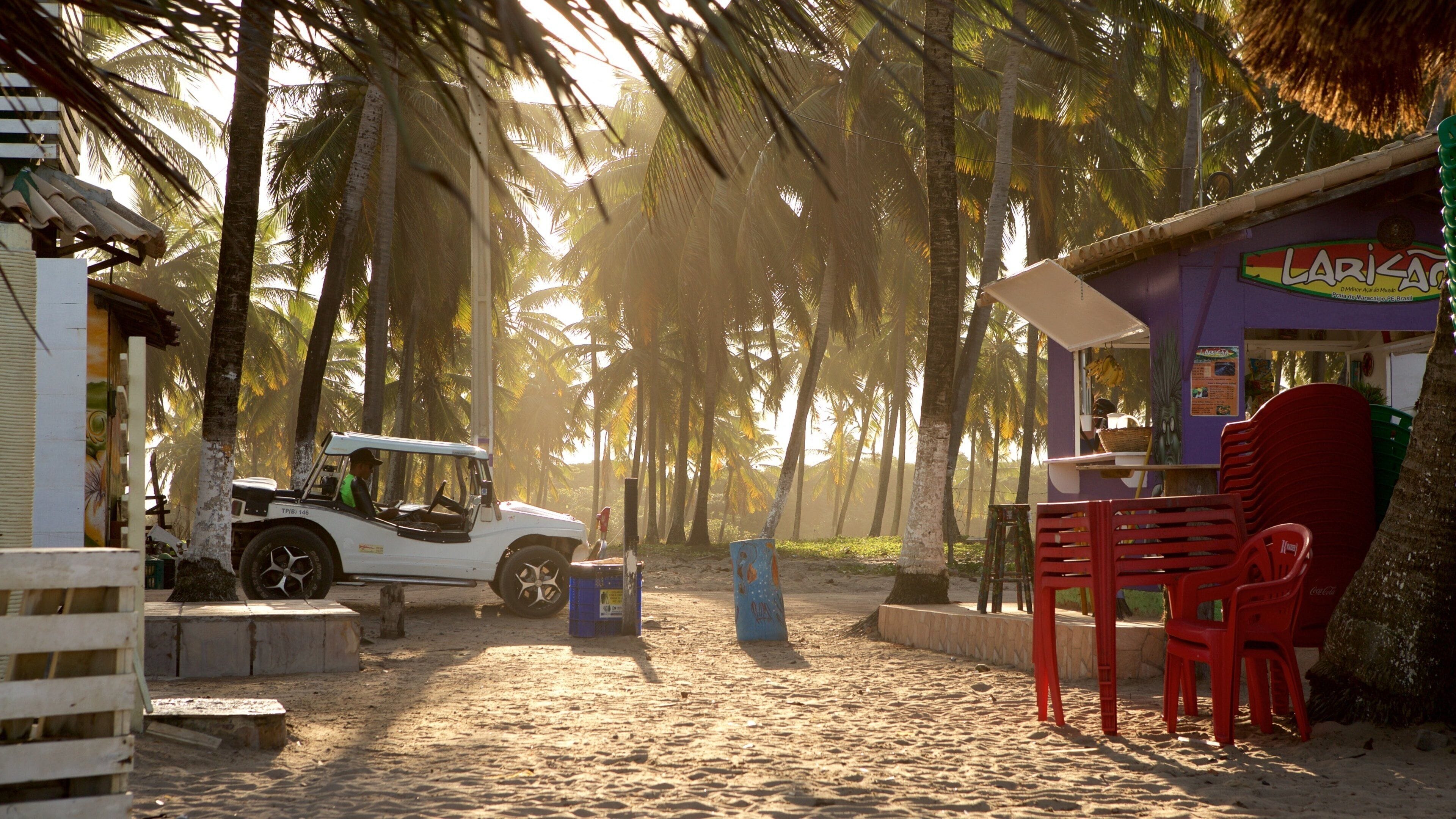 Maracaipe Beach showing a sunset, a sandy beach and a coastal town