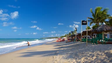 Recife